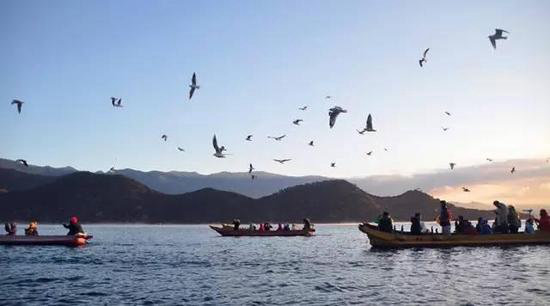 美成这样像话么？今年最值得自驾去的风景