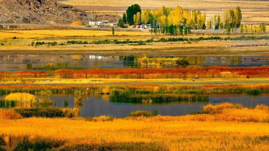 美成这样像话么？今年最值得自驾去的风景