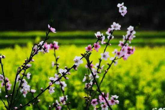 美成这样像话么？今年最值得自驾去的风景