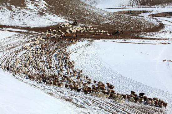 美成这样像话么？今年最值得自驾去的风景