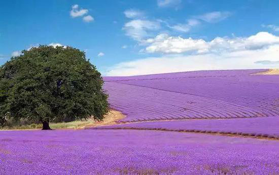 环游世界玩不起？去趟四川就足够了！