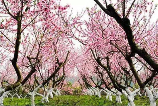 环游世界玩不起？去趟四川就足够了！