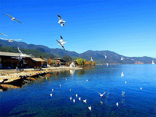 环游世界玩不起？去趟四川就足够了！