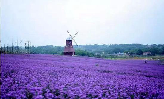 环游世界玩不起？去趟四川就足够了！