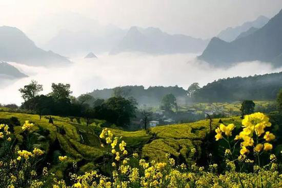 一年疯玩在于春 三月快去自驾旅行吧