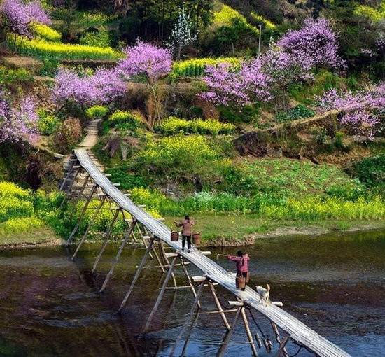 一年疯玩在于春 三月快去自驾旅行吧