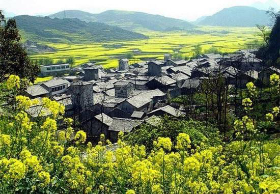 一年疯玩在于春 三月快去自驾旅行吧