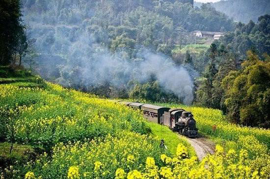 一年疯玩在于春 三月快去自驾旅行吧