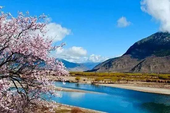 一年疯玩在于春 三月快去自驾旅行吧