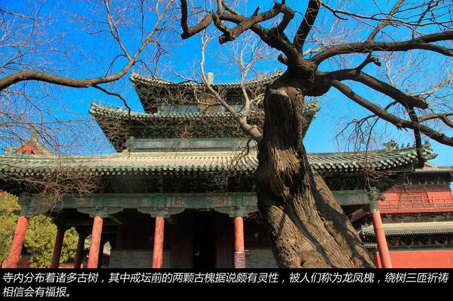 长途畅快试驾游 全新奥迪Q7 宝马X1全体验