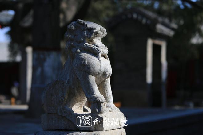 自驾游玩点新花样 在坦克基地撒撒野(下)