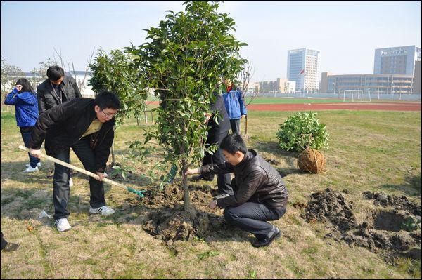 开着新能源车去植树赏麋鹿！限量5个家庭