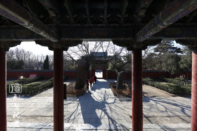 自驾游玩点新花样 在坦克基地撒撒野(下)
