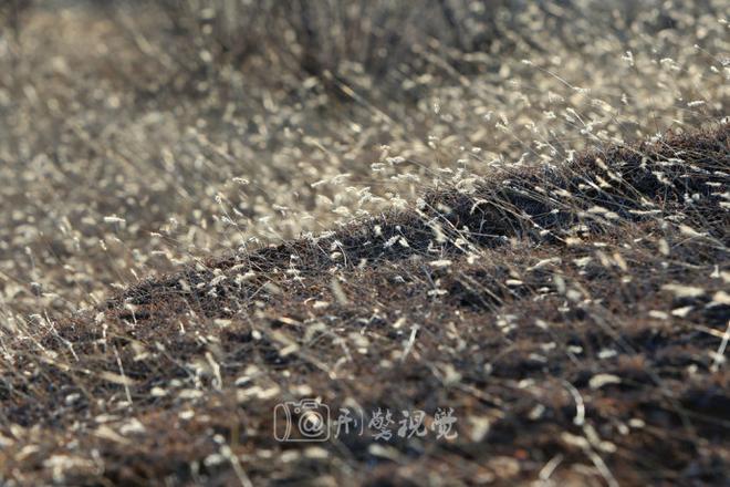自驾游玩点新花样 在坦克基地撒撒野(下)