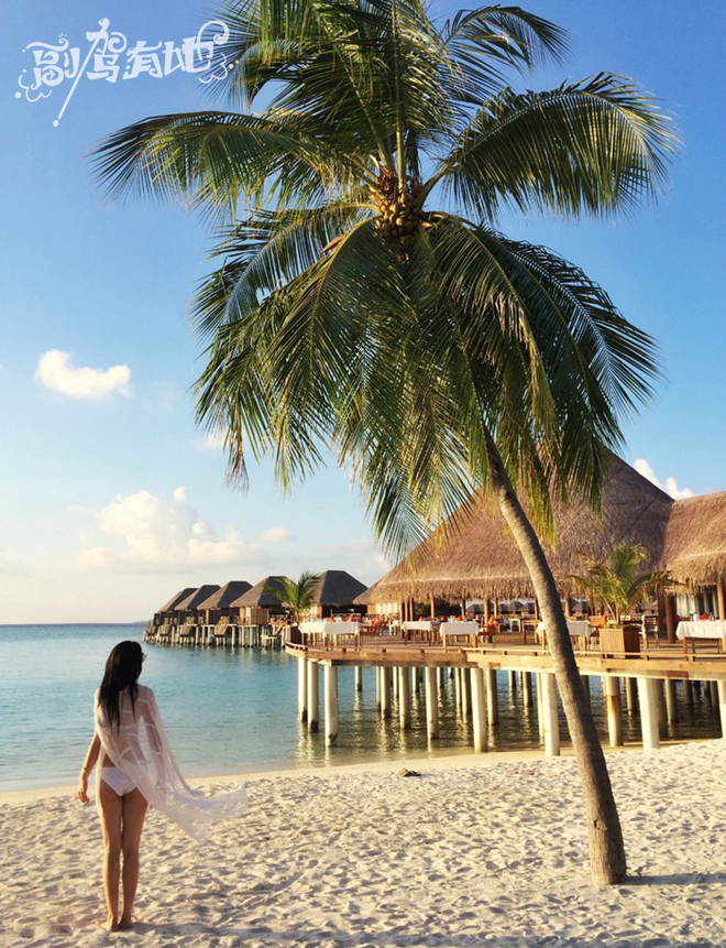 美女SHOW TIME 马累海岛的美艳风情