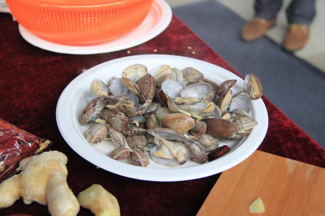 长安欧力威X6拗客营地粉丝见面会青岛站