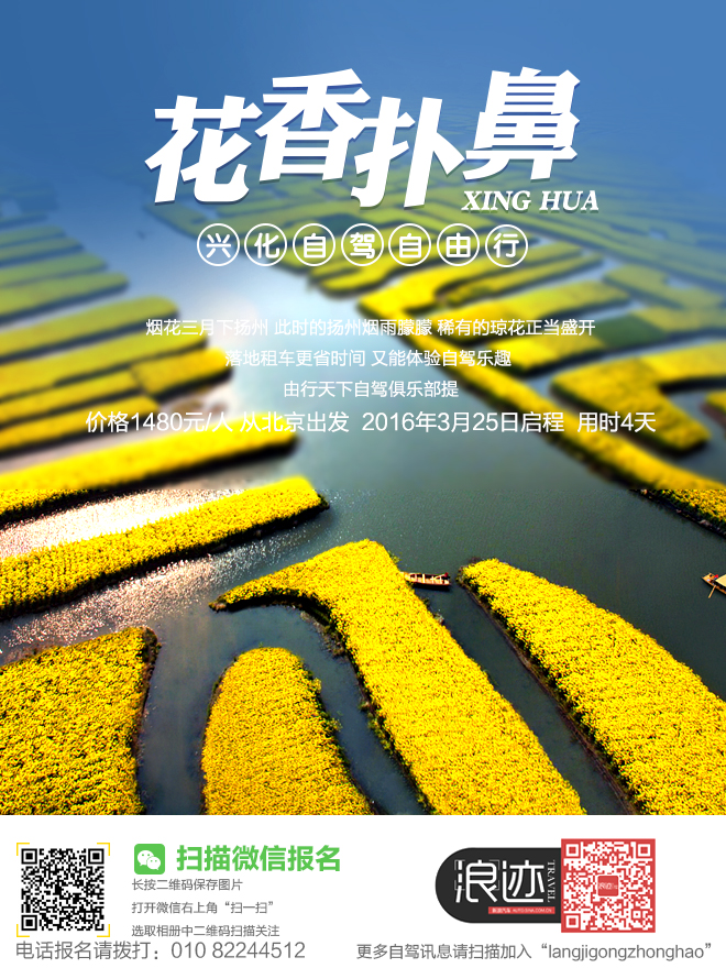招募|1480元起扬州赏兴化水上油菜花