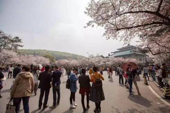 有山有水有花海 三月值得自驾旅游目的地