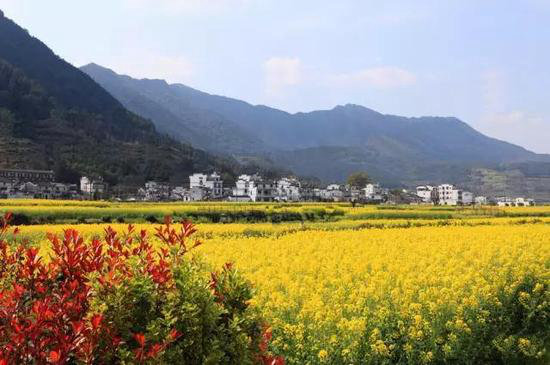 有山有水有花海 三月值得自驾旅游目的地