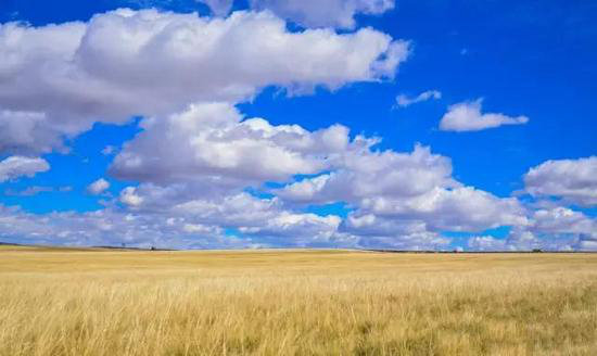 有山有水有花海 三月值得自驾旅游目的地