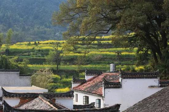 有山有水有花海 三月值得自驾旅游目的地
