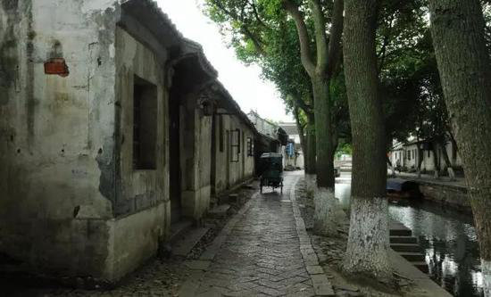 有山有水有花海 三月值得自驾旅游目的地