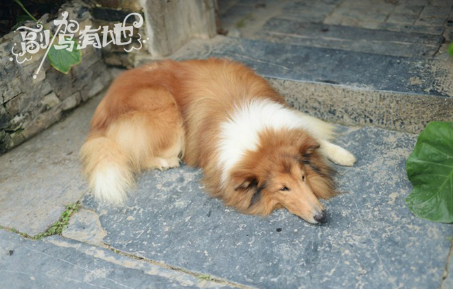 寻找黄姚古镇的宁静 清纯女生盛夏游