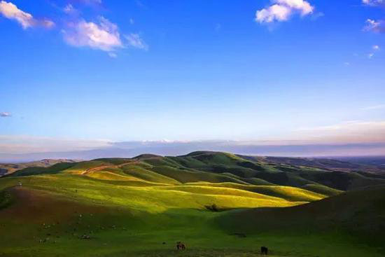 有山有水有花海 三月值得自驾旅游目的地