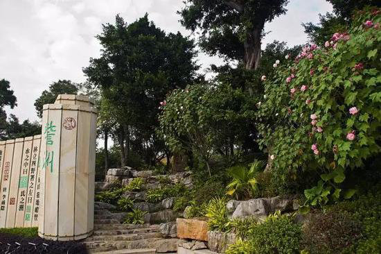 有山有水有花海 三月值得自驾旅游目的地