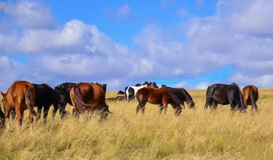 有山有水有花海 三月值得自驾旅游目的地