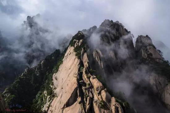 有山有水有花海 三月值得自驾旅游目的地