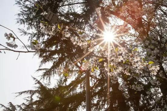 有山有水有花海 三月值得自驾旅游目的地