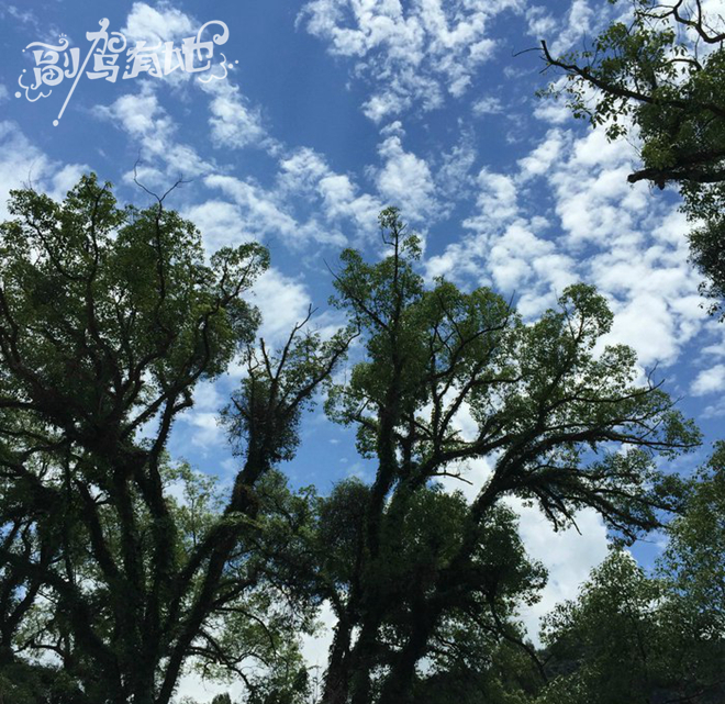 寻找黄姚古镇的宁静 清纯女生盛夏游