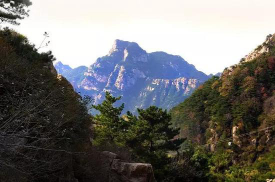 有山有水有花海 三月值得自驾旅游目的地