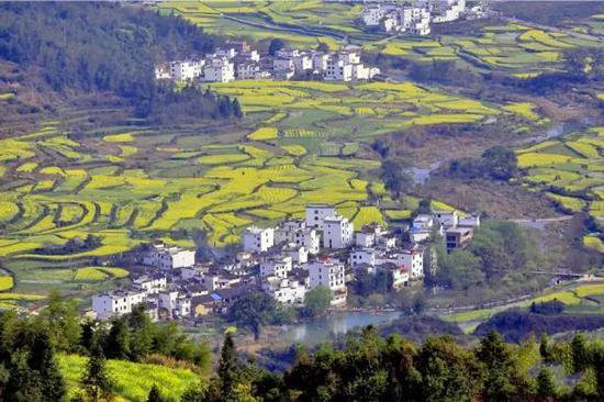 有山有水有花海 三月值得自驾旅游目的地