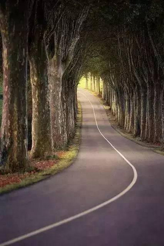 找个地方过慢生活 中国最安逸的10座小城