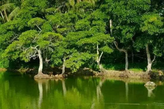 找个地方过慢生活 中国最安逸的10座小城