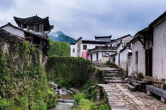 王菲活出真美的地方 给你非来不可的理由