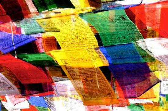 王菲活出真美的地方 给你非来不可的理由