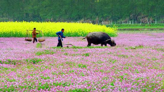 王菲活出真美的地方 给你非来不可的理由