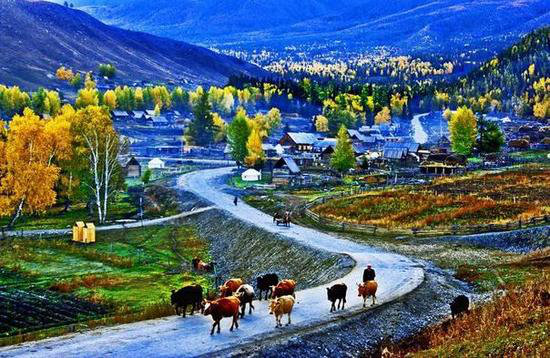 王菲活出真美的地方 给你非来不可的理由