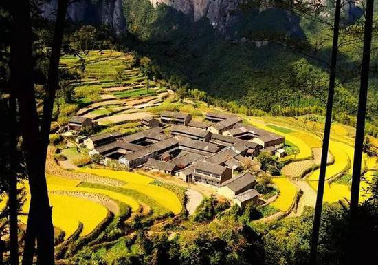 王菲活出真美的地方 给你非来不可的理由