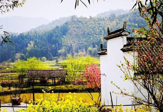 王菲活出真美的地方 给你非来不可的理由