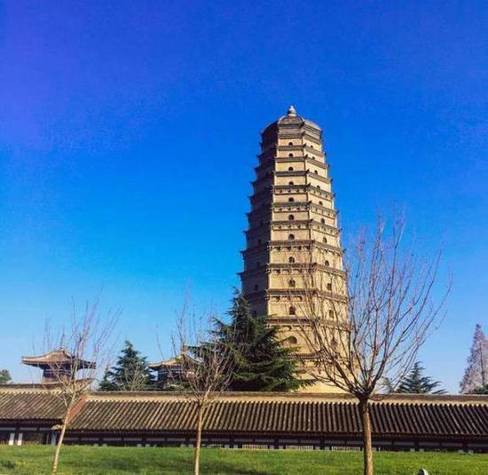 王菲活出真美的地方 给你非来不可的理由