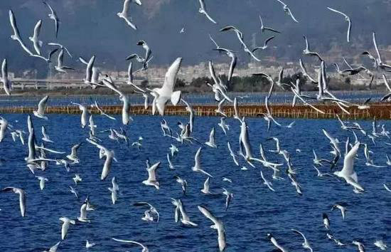 找个地方过慢生活 中国最安逸的10座小城