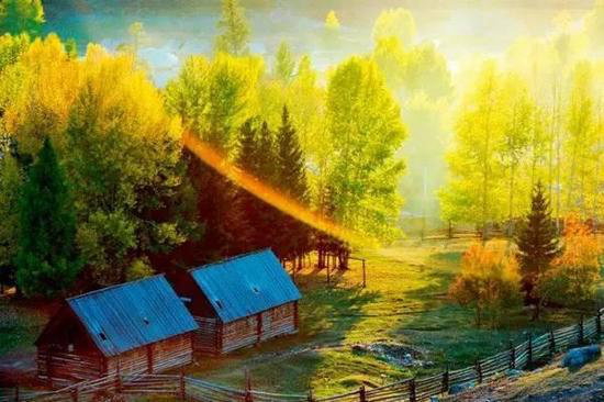 王菲活出真美的地方 给你非来不可的理由