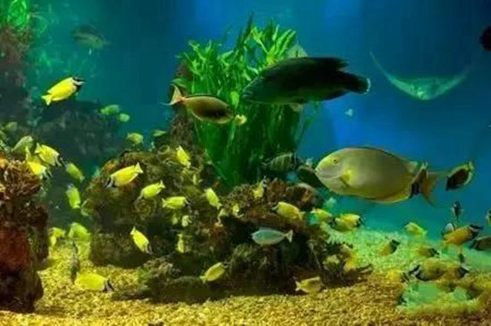 找个地方过慢生活 中国最安逸的10座小城