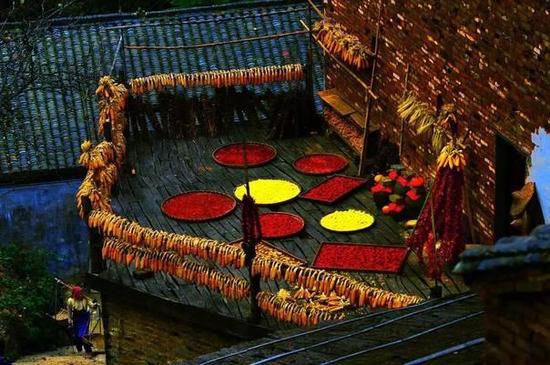 王菲活出真美的地方 给你非来不可的理由