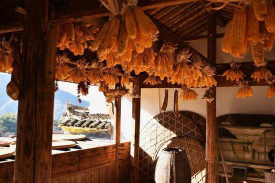 王菲活出真美的地方 给你非来不可的理由