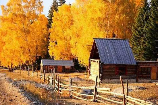 王菲活出真美的地方 给你非来不可的理由